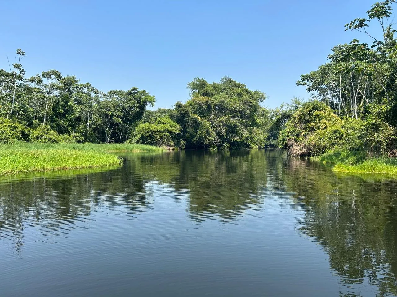Rio São Benedito cercado pela vegetação, na região da Pousada Jundiá