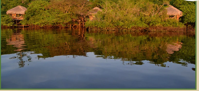 Bangalôs do Juma Amazon Lodge vistos do rio